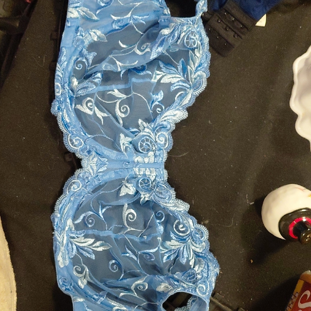 Soma Light Blue Embroidered Lingerie